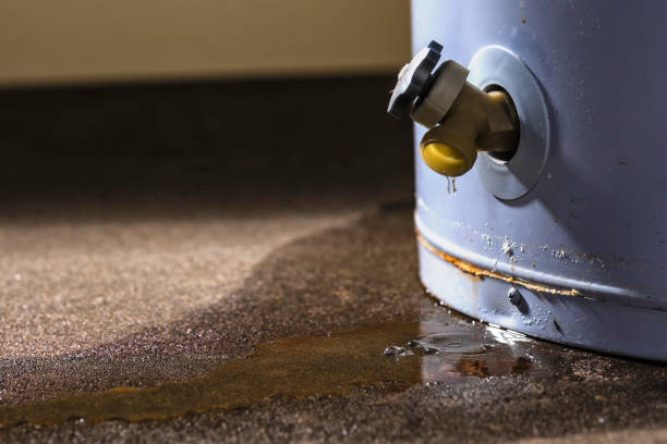 Best 24-hour water damage restoration  in Wilkshire Hills, OH