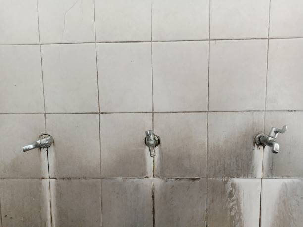 Best Sewage cleanup and water damage restoration  in Wilkshire Hills, OH