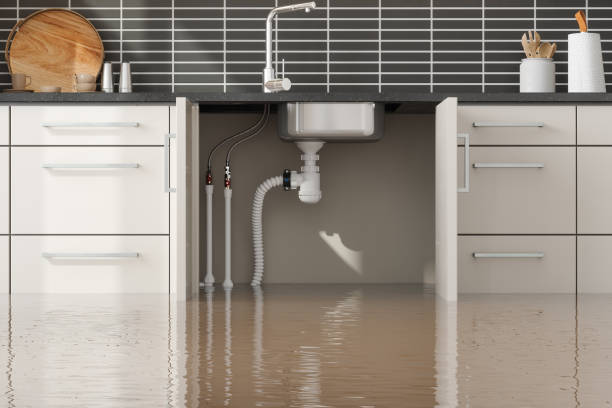 Best Flood restoration services  in Wilkshire Hills, OH