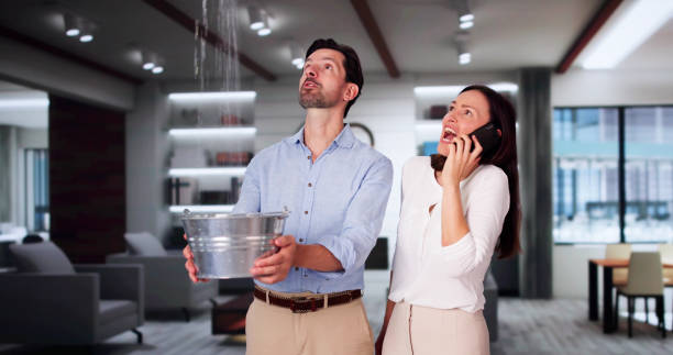 Best Water damage contractors near me  in Wilkshire Hills, OH
